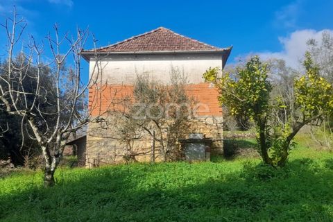 Villa i Pombal, Leiria, Pombal - € 82.500 | Ref: ZMPT573570 - foto 2