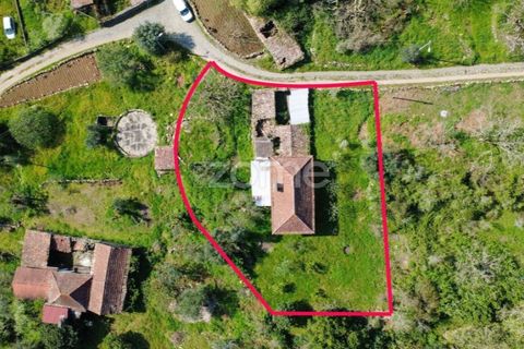 Villa i Pombal, Leiria, Pombal - € 82.500 | Ref: ZMPT573570 - foto 9