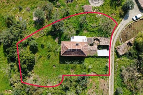 Villa i Pombal, Leiria, Pombal - € 82.500 | Ref: ZMPT573570 - foto 10