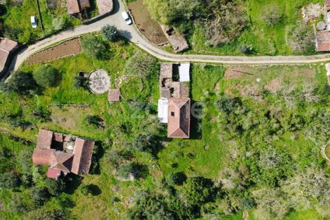 Villa i Pombal, Leiria, Pombal - € 82.500 | Ref: ZMPT573570 - foto 12