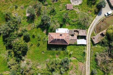 Villa i Pombal, Leiria, Pombal - € 82.500 | Ref: ZMPT573570 - foto 15