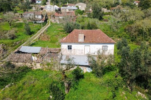 Villa i Pombal, Leiria, Pombal - € 82.500 | Ref: ZMPT573570 - foto 17