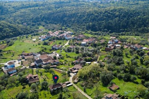 Villa i Pombal, Leiria, Pombal - € 82.500 | Ref: ZMPT573570 - foto 22