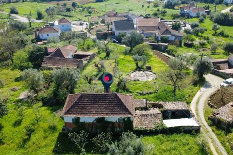 Villa i Pombal, Leiria, Pombal - € 82.500 | Ref: ZMPT573570 - foto 24