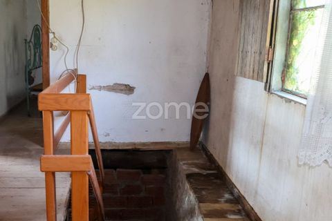Villa i Pombal, Leiria, Pombal - € 82.500 | Ref: ZMPT573570 - foto 30