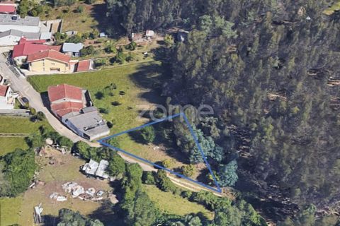 Helårsgrund i Coimbra, Coimbra, Coimbra - € 49.500 | Ref: ZMPT573567 - foto 3