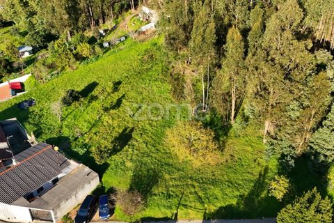 Helårsgrund i Coimbra, Coimbra, Coimbra - € 49.500 | Ref: ZMPT573567 - foto 6
