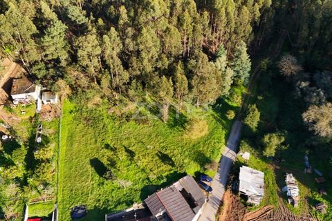 Helårsgrund i Coimbra, Coimbra, Coimbra - € 49.500 | Ref: ZMPT573567 - foto 7