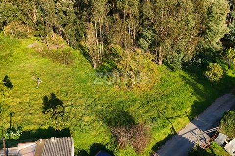 Helårsgrund i Coimbra, Coimbra, Coimbra - € 49.500 | Ref: ZMPT573567 - foto 10
