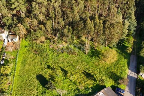 Helårsgrund i Coimbra, Coimbra, Coimbra - € 49.500 | Ref: ZMPT573567 - foto 11