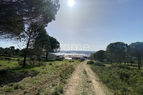 Helårsgrund i Vila Verde, Coimbra, Vila Verde - € 425.000 | Ref: ZMPT555426 - foto 3