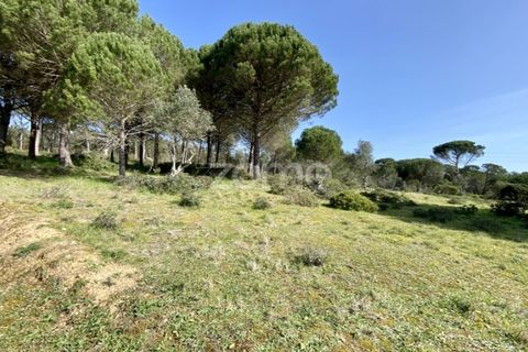 Helårsgrund i Vila Verde, Coimbra, Vila Verde - € 425.000 | Ref: ZMPT555426 - foto 4