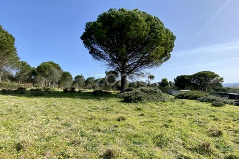 Helårsgrund i Vila Verde, Coimbra, Vila Verde - € 425.000 | Ref: ZMPT555426 - foto 6