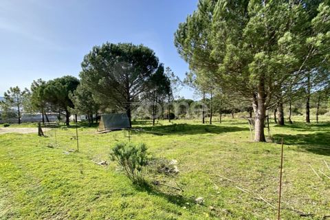Helårsgrund i Vila Verde, Coimbra, Vila Verde - € 425.000 | Ref: ZMPT555426 - foto 8