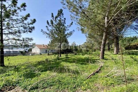 Helårsgrund i Vila Verde, Coimbra, Vila Verde - € 425.000 | Ref: ZMPT555426 - foto 13
