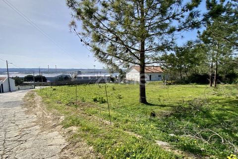 Helårsgrund i Vila Verde, Coimbra, Vila Verde - € 425.000 | Ref: ZMPT555426 - foto 15