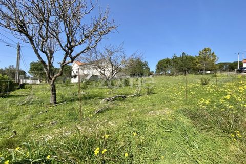 Helårsgrund i Vila Verde, Coimbra, Vila Verde - € 425.000 | Ref: ZMPT555426 - foto 22