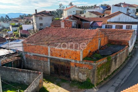 Villa i Miranda do Corvo, Coimbra, Miranda do Corvo - € 45.000 | Ref: ZMPT572610 - foto 12