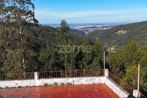 Villa i Miranda do Corvo, Coimbra, Miranda do Corvo - € 300.000 | Ref: ZMPT572609 - foto 24