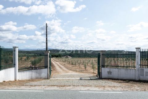 Landejendom i Sameice e Santa Eulalia, Guarda, Sameice e Santa Eulalia - € 525.000 | Ref: ZMPT573664 - foto 36