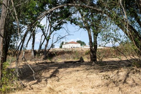 Landejendom i Sameice e Santa Eulalia, Guarda, Sameice e Santa Eulalia - € 525.000 | Ref: ZMPT573664 - foto 37