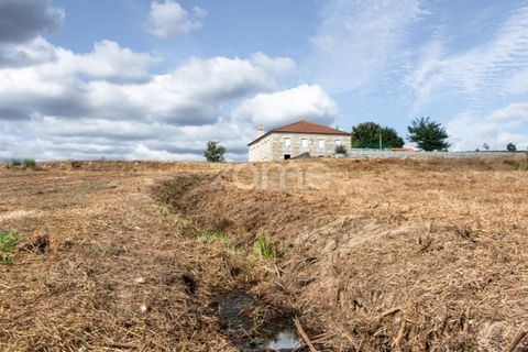 Landejendom i Sameice e Santa Eulalia, Guarda, Sameice e Santa Eulalia - € 525.000 | Ref: ZMPT573664 - foto 39
