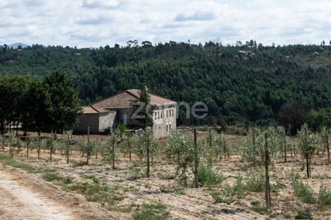Landejendom i Sameice e Santa Eulalia, Guarda, Sameice e Santa Eulalia - € 525.000 | Ref: ZMPT573664 - foto 1