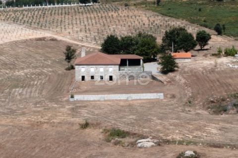 Landejendom i Sameice e Santa Eulalia, Guarda, Sameice e Santa Eulalia - € 525.000 | Ref: ZMPT573664 - foto 2