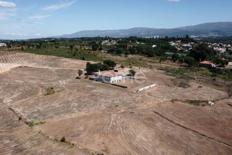 Landejendom i Sameice e Santa Eulalia, Guarda, Sameice e Santa Eulalia - € 525.000 | Ref: ZMPT573664 - foto 3