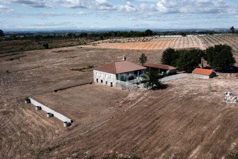 Landejendom i Sameice e Santa Eulalia, Guarda, Sameice e Santa Eulalia - € 525.000 | Ref: ZMPT573664 - foto 7