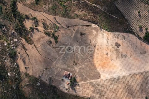 Landejendom i Sameice e Santa Eulalia, Guarda, Sameice e Santa Eulalia - € 525.000 | Ref: ZMPT573664 - foto 9