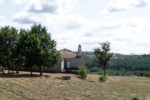 Landejendom i Sameice e Santa Eulalia, Guarda, Sameice e Santa Eulalia - € 525.000 | Ref: ZMPT573664 - foto 32