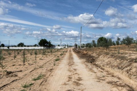 Landejendom i Sameice e Santa Eulalia, Guarda, Sameice e Santa Eulalia - € 525.000 | Ref: ZMPT573664 - foto 34