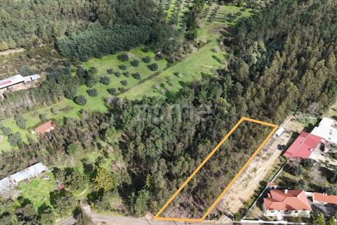 Helårsgrund i Antuzede e Vil de Matos, Coimbra, Antuzede e Vil de Matos - € 42.000 | Ref: ZMPT574323 - foto 3