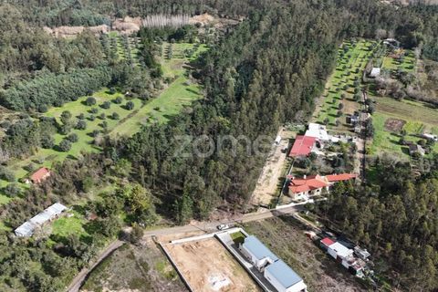 Helårsgrund i Antuzede e Vil de Matos, Coimbra, Antuzede e Vil de Matos - € 42.000 | Ref: ZMPT574323 - foto 6
