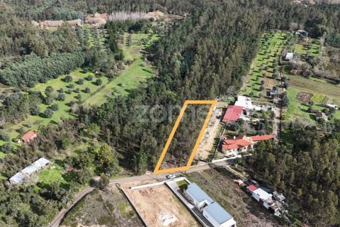 Helårsgrund i Antuzede e Vil de Matos, Coimbra, Antuzede e Vil de Matos - € 42.000 | Ref: ZMPT574323 - foto 12