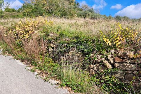Terra a Batalha, Leiria, Batalha - € 29.000 | Ref: ZMPT565474 - foto 2