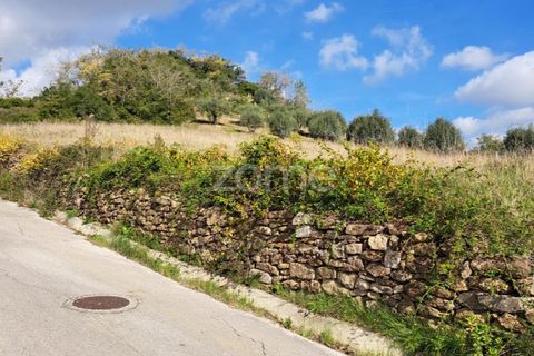 Terra a Batalha, Leiria, Batalha - € 29.000 | Ref: ZMPT565474 - foto 4