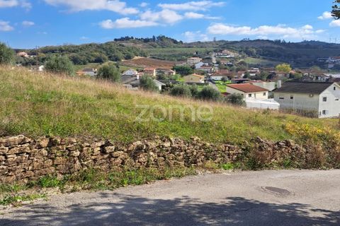 Terra a Batalha, Leiria, Batalha - € 29.000 | Ref: ZMPT565474 - foto 5