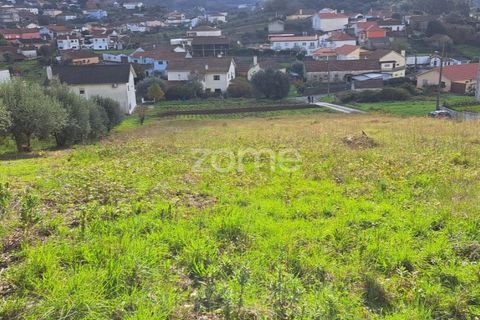 Terra a Batalha, Leiria, Batalha - € 29.000 | Ref: ZMPT565474 - foto 6