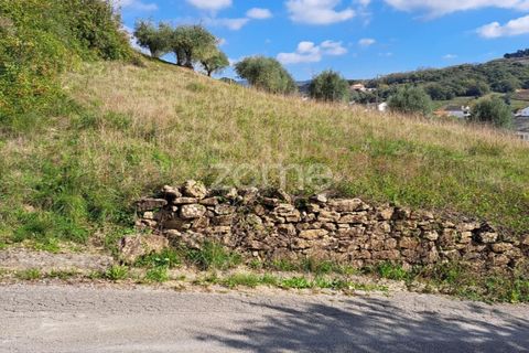Terra a Batalha, Leiria, Batalha - € 29.000 | Ref: ZMPT565474 - foto 8