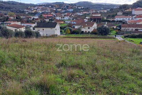 Terra a Batalha, Leiria, Batalha - € 29.000 | Ref: ZMPT565474 - foto 9