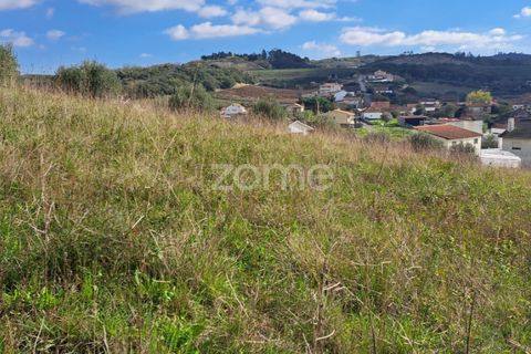 Terra a Batalha, Leiria, Batalha - € 29.000 | Ref: ZMPT565474 - foto 10