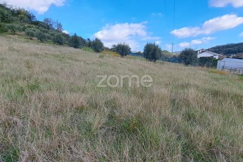 Terra a Batalha, Leiria, Batalha - € 29.000 | Ref: ZMPT565474 - foto 11