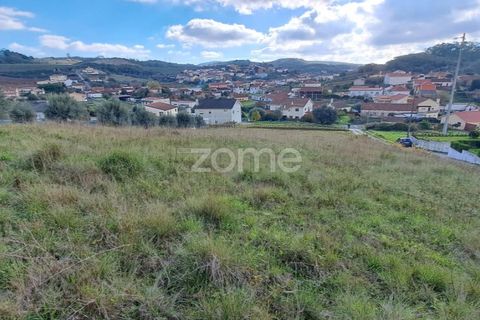Terra a Batalha, Leiria, Batalha - € 29.000 | Ref: ZMPT565474 - foto 12