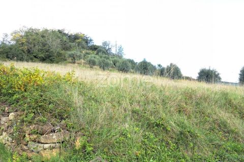 Terra a Batalha, Leiria, Batalha - € 29.000 | Ref: ZMPT565474 - foto 13