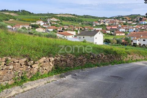 Terra a Batalha, Leiria, Batalha - € 29.000 | Ref: ZMPT565474 - foto 19