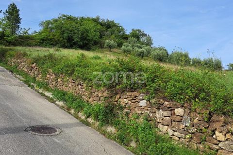 Terra a Batalha, Leiria, Batalha - € 29.000 | Ref: ZMPT565474 - foto 20