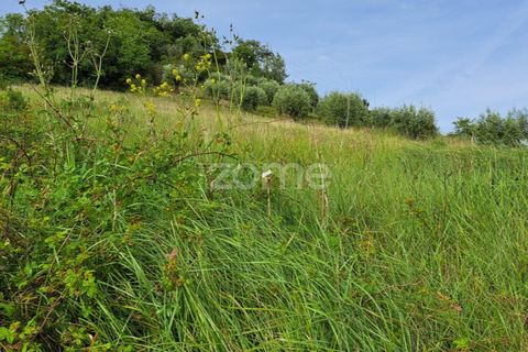 Terra a Batalha, Leiria, Batalha - € 29.000 | Ref: ZMPT565474 - foto 21