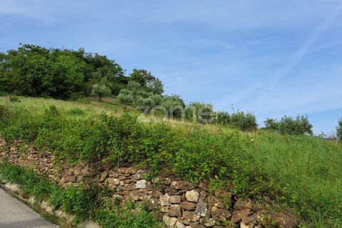 Terra a Batalha, Leiria, Batalha - € 29.000 | Ref: ZMPT565474 - foto 22